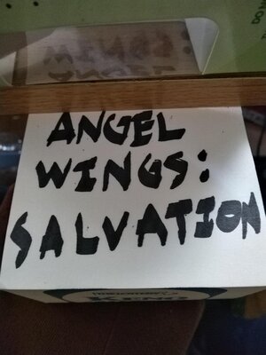 cover image of Angels Wings